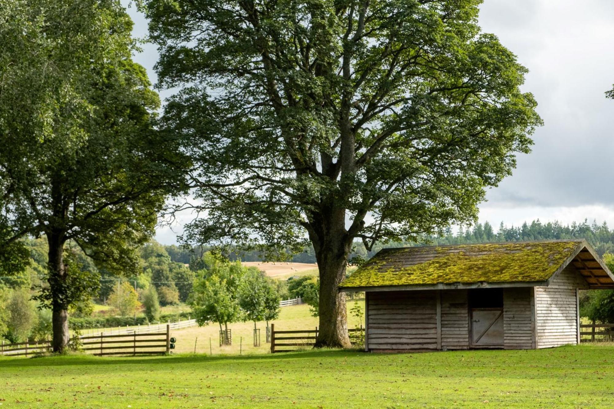 Marcassie Farm Lodges - Blackthorn Studio Forres Exterior photo